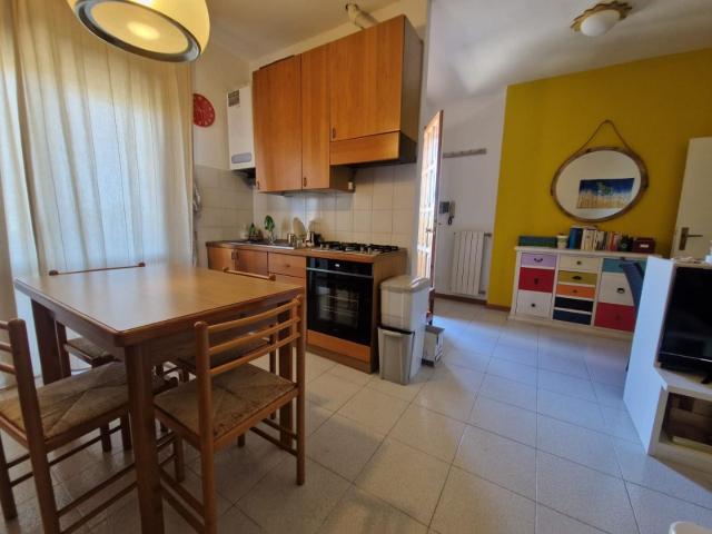 Appartamento in affitto a Rosignano Marittimo, Toscana