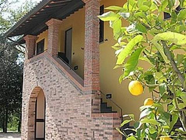 Appartamento in affitto a Santa Maria A Monte, Toscana