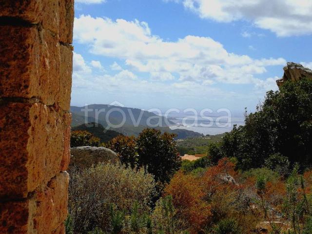 Appartamento in affitto a Trinità d'Agultu e Vignola, Italia