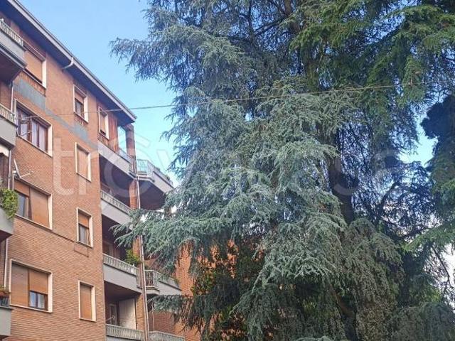 trilocale in affitto a Valenza, Fontanile