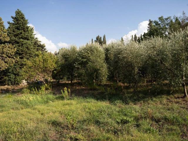 Appartamento in vendita a Collemontanino, Pisa