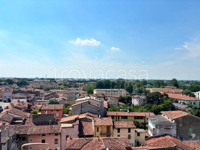 Appartamento in vendita a Manerbio, Lombardia