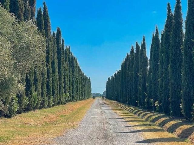 Appartamento in vendita a Campiglia Marittima, Livorno
