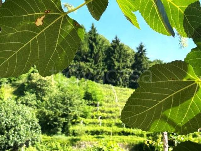 Appartamento in vendita a Territorio Val d'Adige, Trento