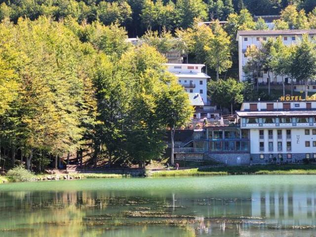 Appartamento in vendita a Appennino Reggiano, Re