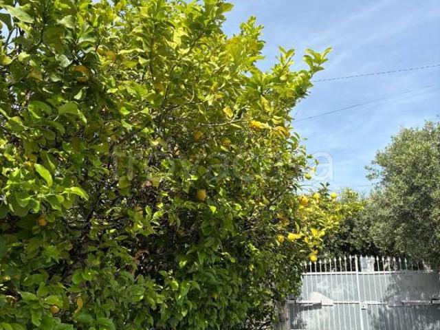 Appartamento in vendita a Albisola Capo, Albisola Superiore