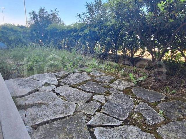 Appartamento in vendita a Marche, Ancona