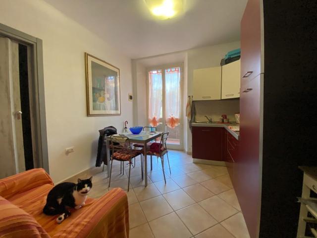 Appartamento in vendita a Venturina Terme, Campiglia Marittima