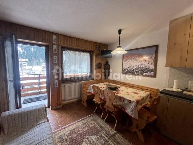 Appartamento in affitto a Comun General de Fascia, Mazzin