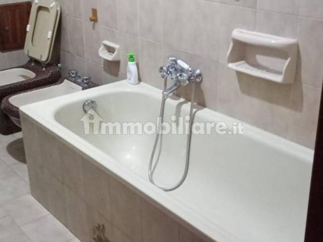 Appartamento in affitto a Unione Terre e Fiumi, Berra