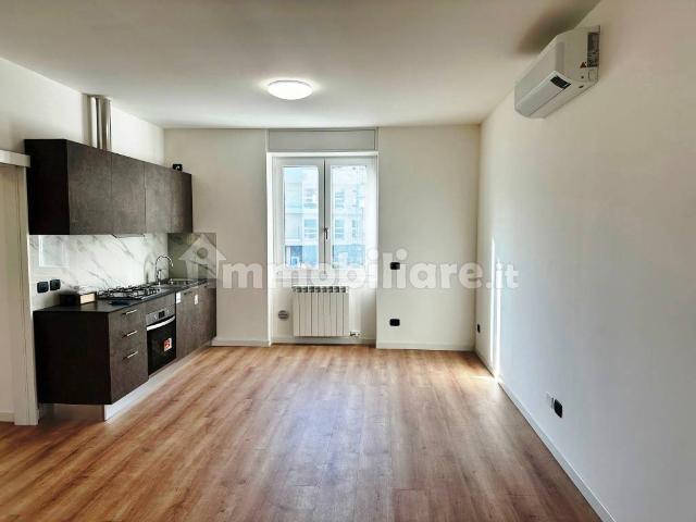 Appartamento in affitto a Sud, Brenzone
