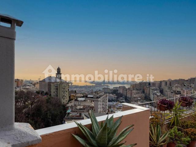 Appartamento in affitto a Centro Est, Serra Riccò