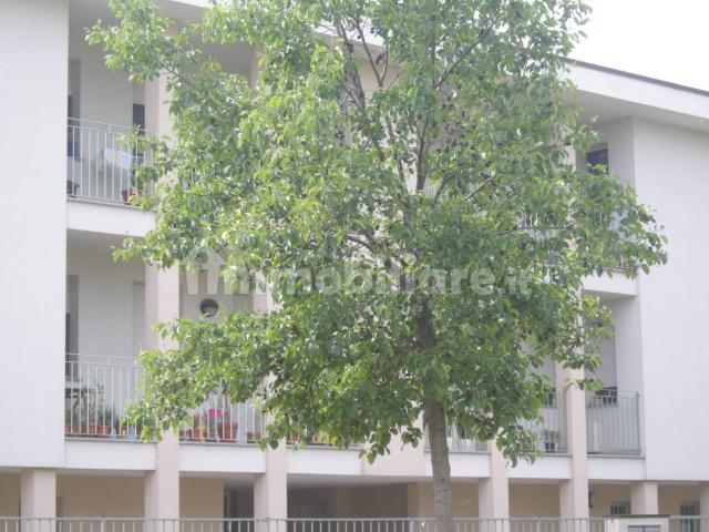 Appartamento in affitto a Bagnolo Cremasco, Lombardia