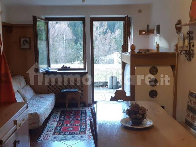 Appartamento in affitto a San Vito Di Cadore, Veneto