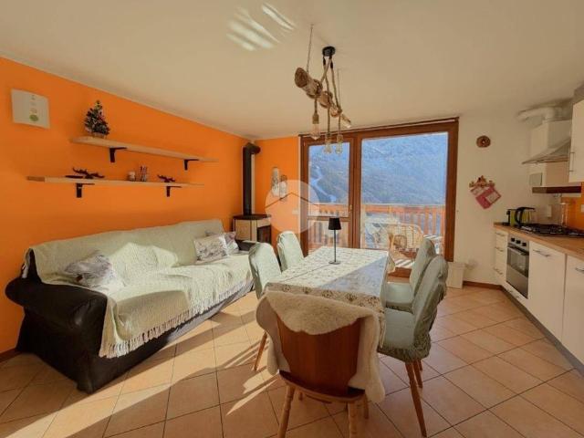 Appartamento in affitto a Comunità montana della valle Camonica, Vione