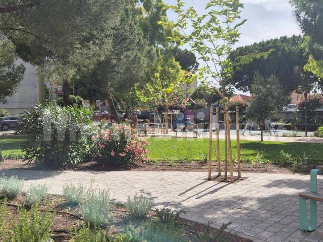 Appartamento in affitto a Vallecrosia, Liguria