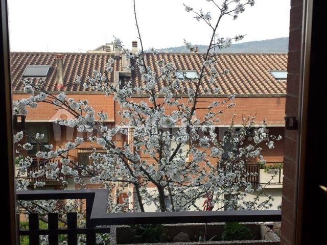 Appartamento in affitto a Santa Lucia, Cenerente