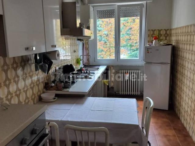 Appartamento in affitto a Sorbolo, Reggio Emilia