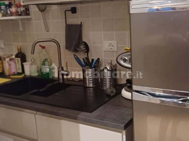Appartamento in affitto a Monteverdi Marittimo, Toscana