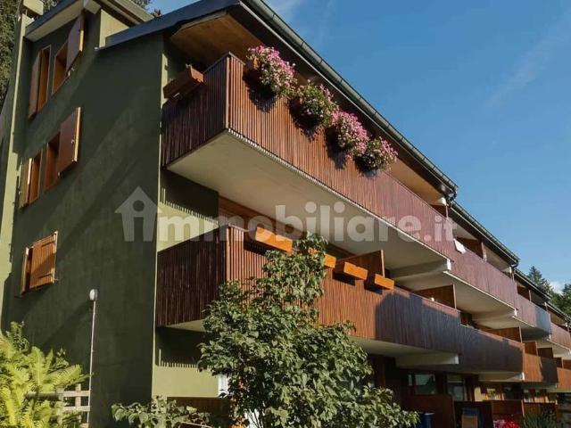 Appartamento in affitto a Comunità delle Giudicarie, Montagne