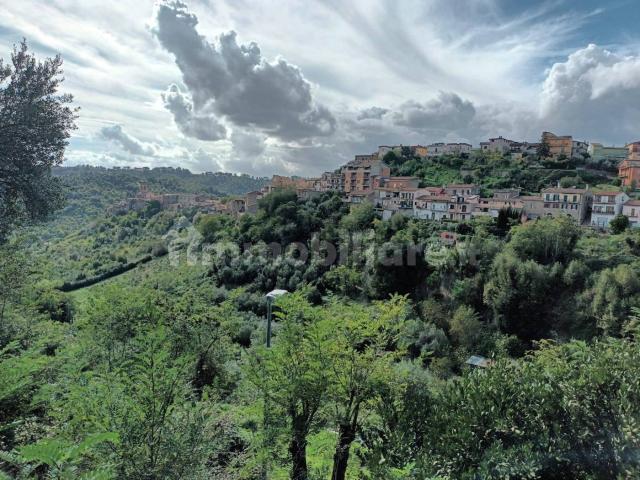Appartamento in affitto a Roma Capitale, Lazio