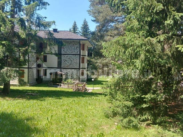 Appartamento in affitto a Comunità montana della valle Camonica, Ponte Di Legno
