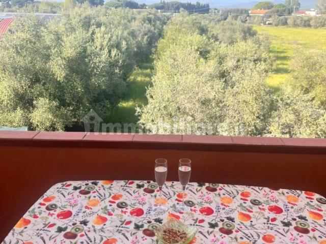 Appartamento in affitto a Bolgheri, Toscana