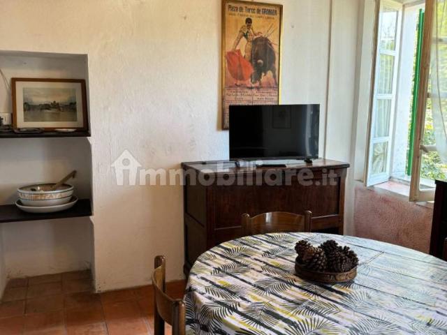 Appartamento in affitto a Appennino Reggiano, Re