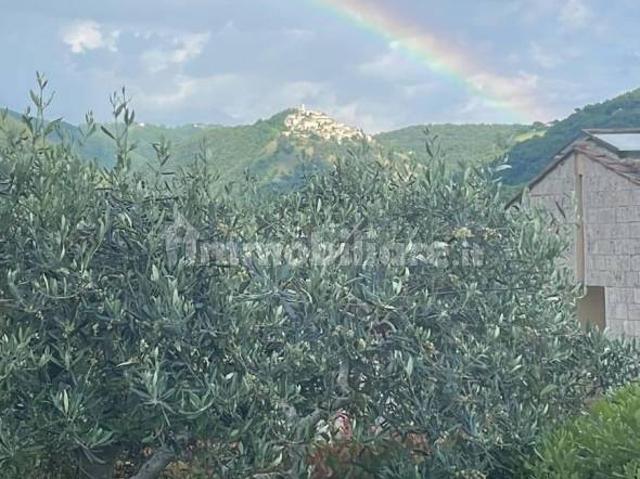 Appartamento in affitto a Terni, Umbria