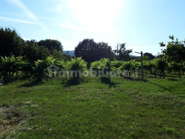 Appartamento in affitto a Assisi, Umbria