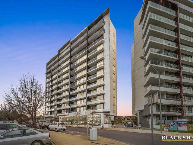 House for rent in Phillip, District of Woden Valley