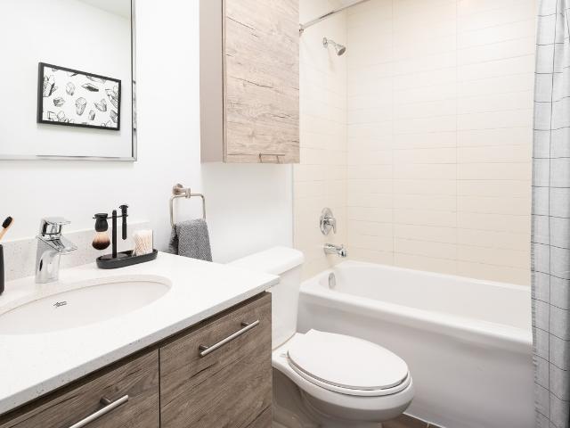 Apartment for rent in Spadina—Fort York, Toronto