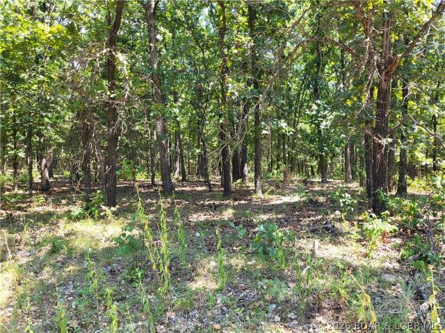 Land for sale in Benton County, Missouri