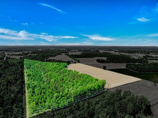 Land for sale in Coward, South Carolina