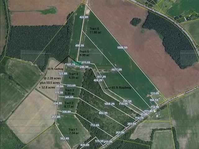 Land for sale in Coward, South Carolina
