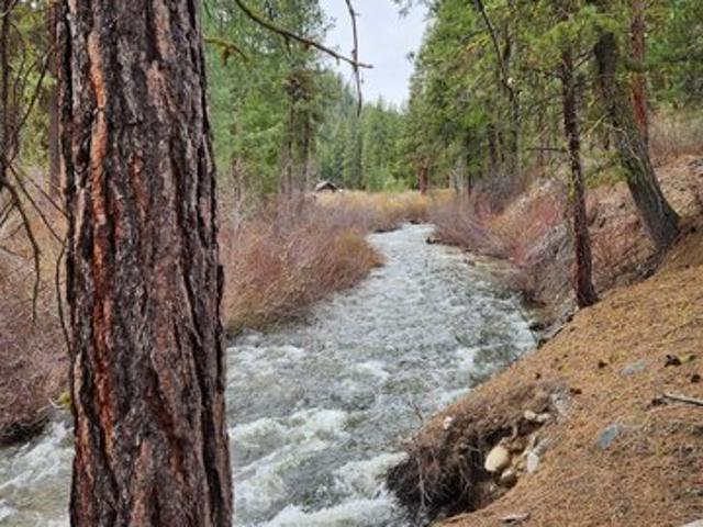 Land for sale in Idaho