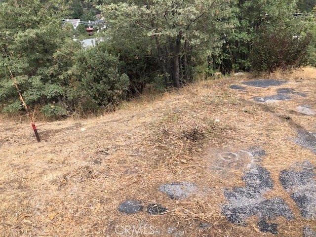 Land for sale in Cedar Glen, California