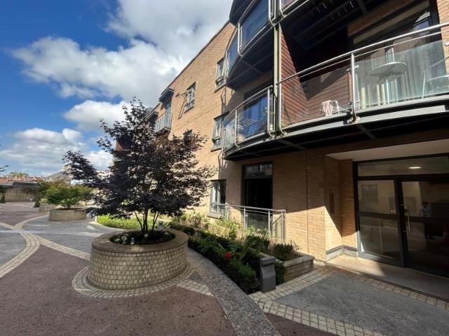 Apartment for rent in Charlotteville, Westborough
