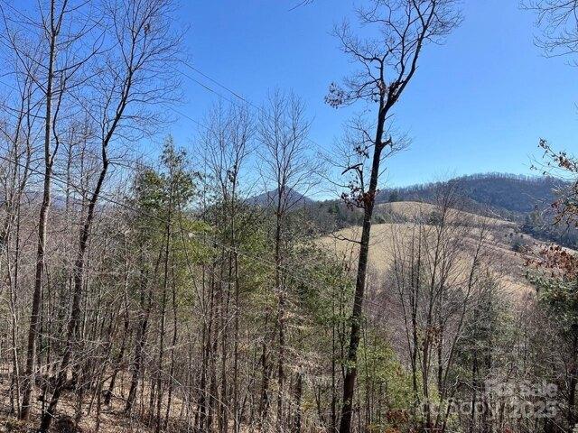 Land for sale in Yancey, North Carolina