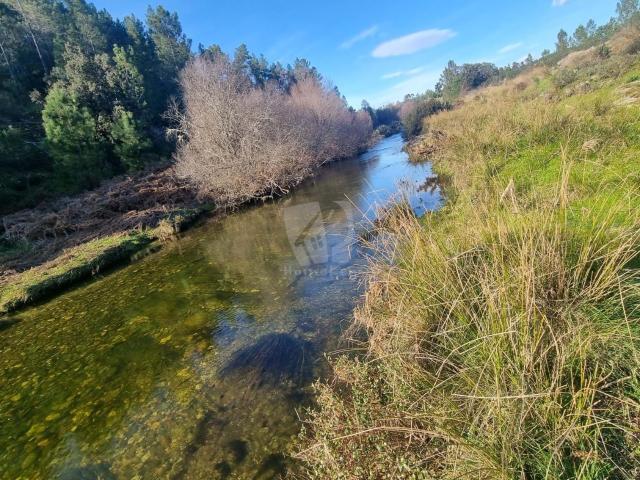 Quinta venda em Castelo Branco