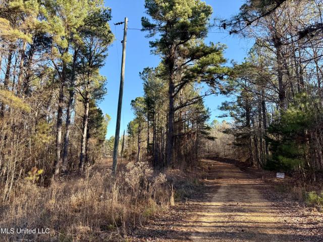 Land for sale in Winston, Mississippi
