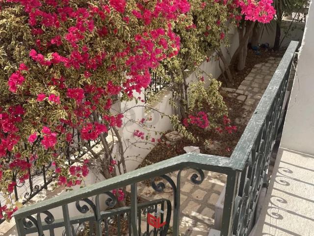 Maison vente à Ain Zaghouan, Douz