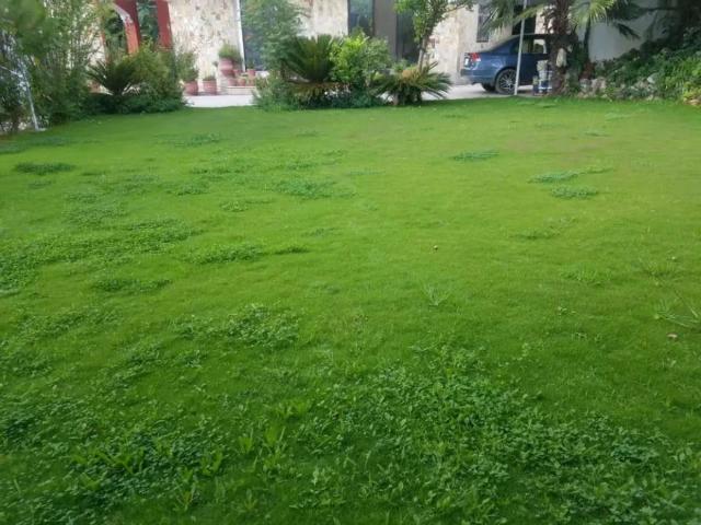 Land for sale in ایبٹ آباد, ہزارہ ڈویژن