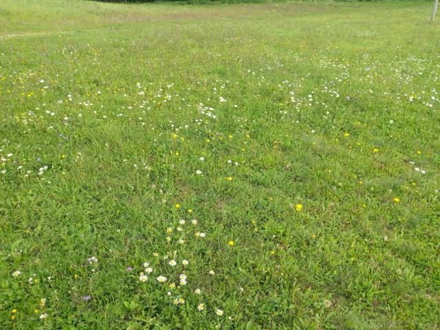 Terreno in vendita a Trissino, Veneto
