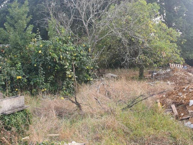 Terrain vente à France métropolitaine, Trizay