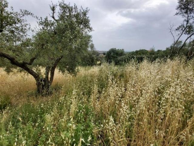 Terreno in vendita a Roma Capitale, Lazio