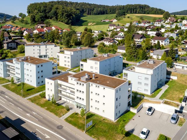 Garage mieten in Ehrendingen, Aargau