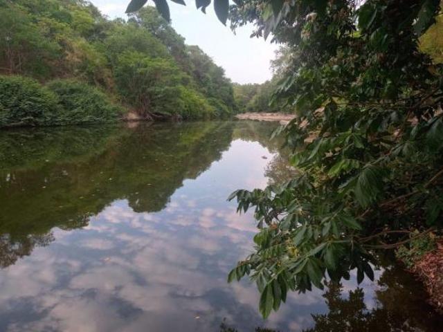Sítio e chácara venda em Região Geográfica Imediata de Posse-Campos Belos, Monte Alegre de Goiás