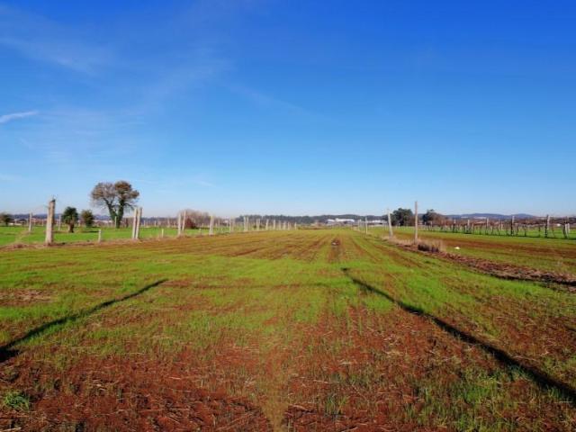 Terreno venda em Bougado (São Martinho e Santiago), Trofa
