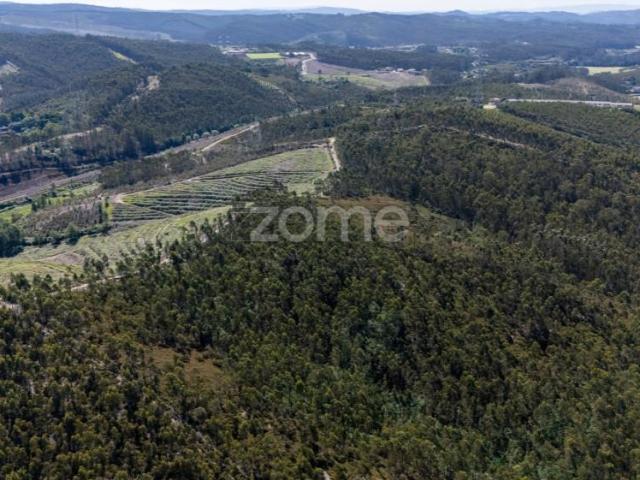Terreno venda em Bougado (São Martinho e Santiago), Trofa